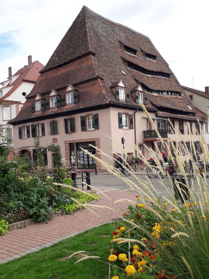 مبيت وإفطار Alteckendorf Chambre D'Hotes Du Schneeberg المظهر الخارجي الصورة